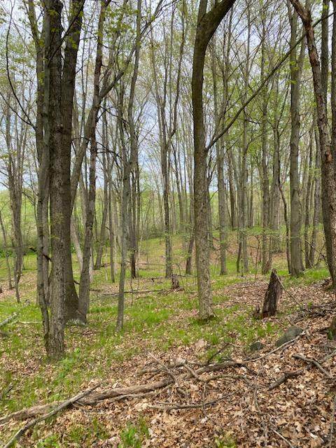 Springport - Photo 1