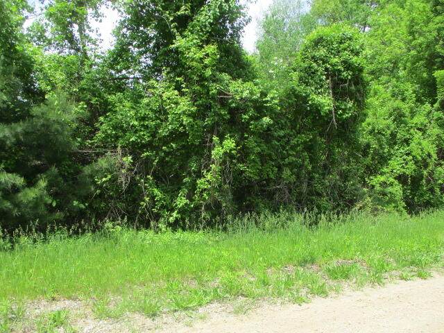 6222 Roosevelt Street - Photo 1