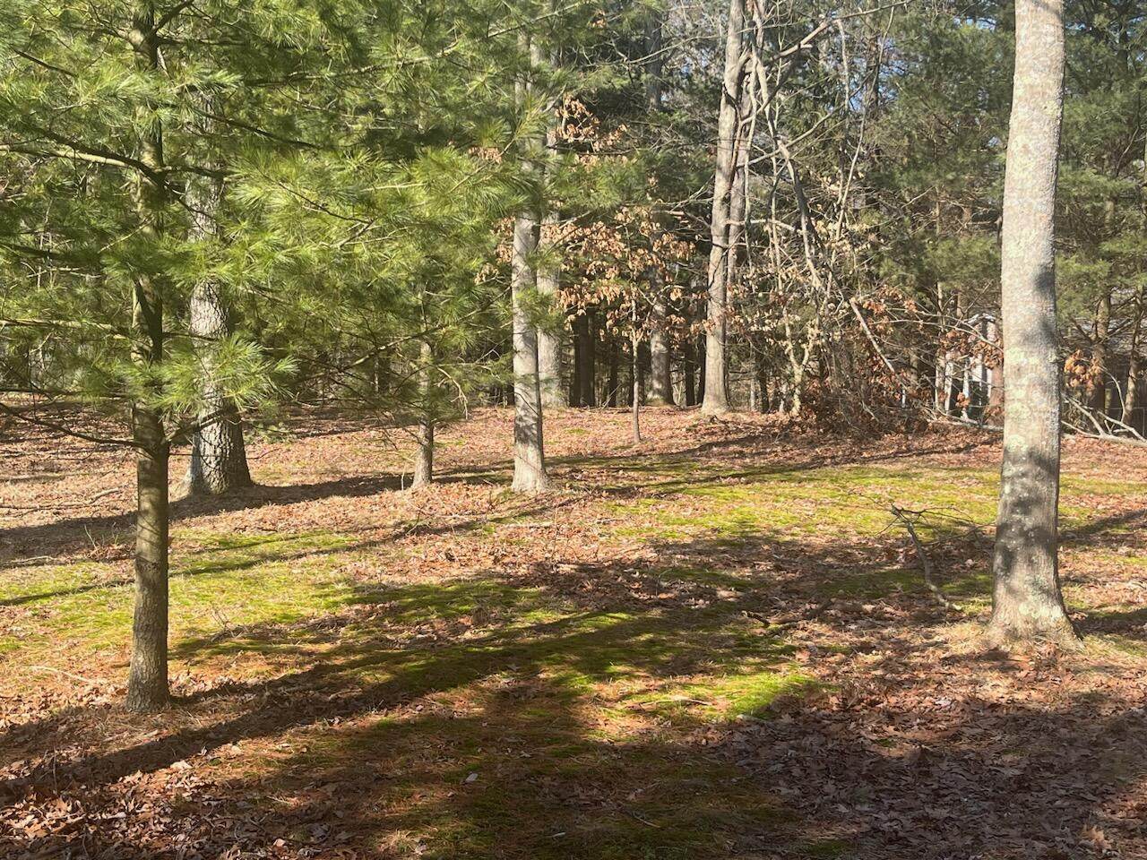 4007 Riverview Drive - Photo 1