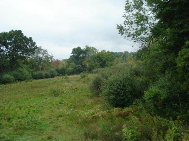 V/l Hawkins Road - Photo 1