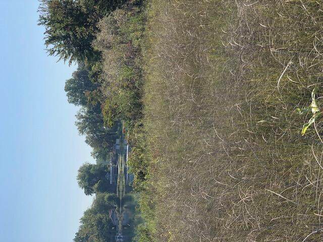 3 Pike Lane - Photo 1