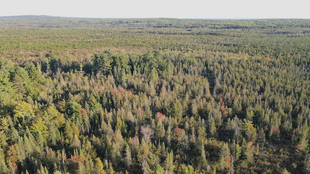 VL River Lake Road - Photo 1