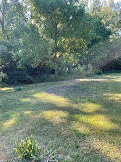 Parcel C-1 E. Wyndwicke Drive & M-139 - Photo 1