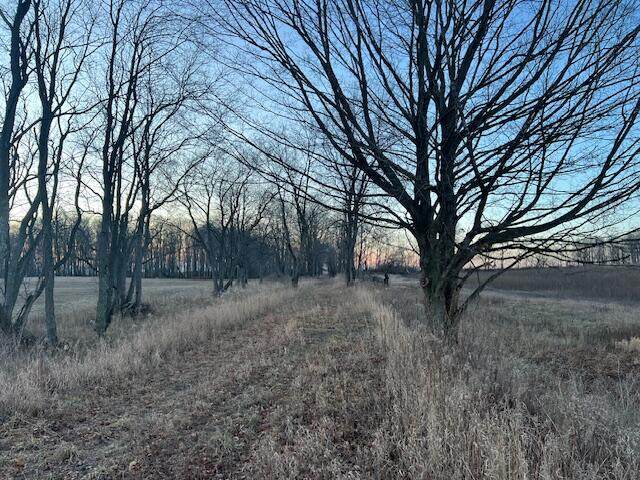 VL 10 Mile Road - Photo 1