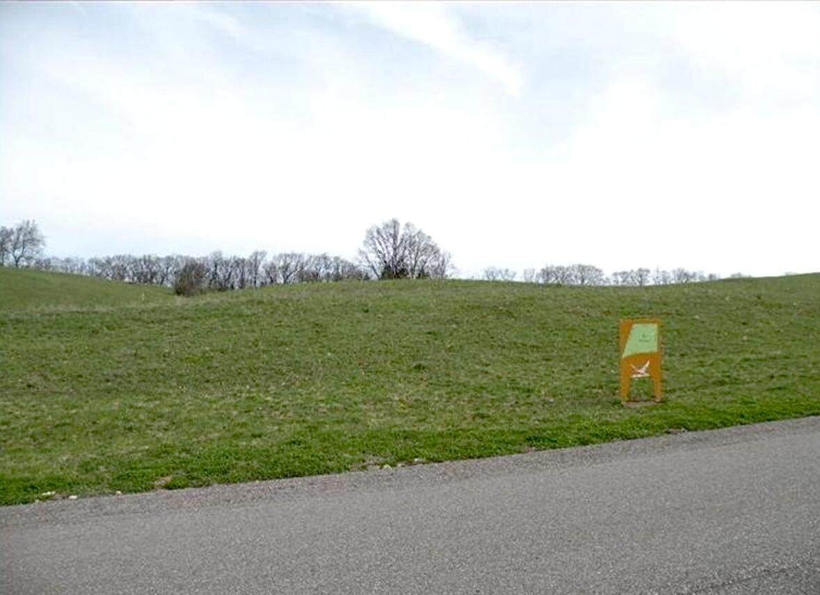 5699 Montreux Hills Drive - Photo 1