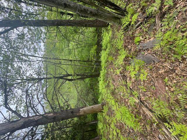 1750 Maple Point Road - Photo 1