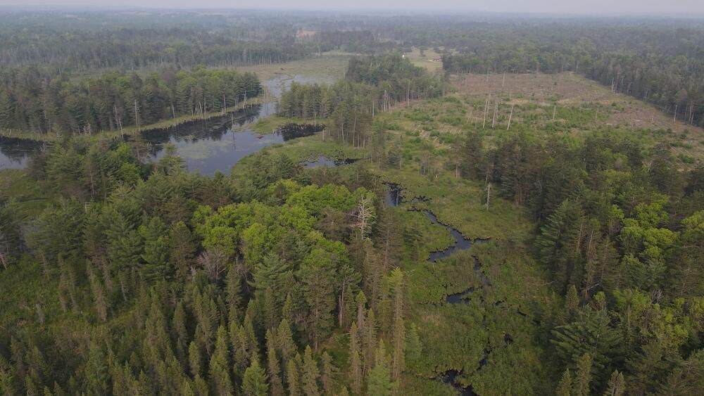 Parcel B Cherry Creek Trail - Photo 1