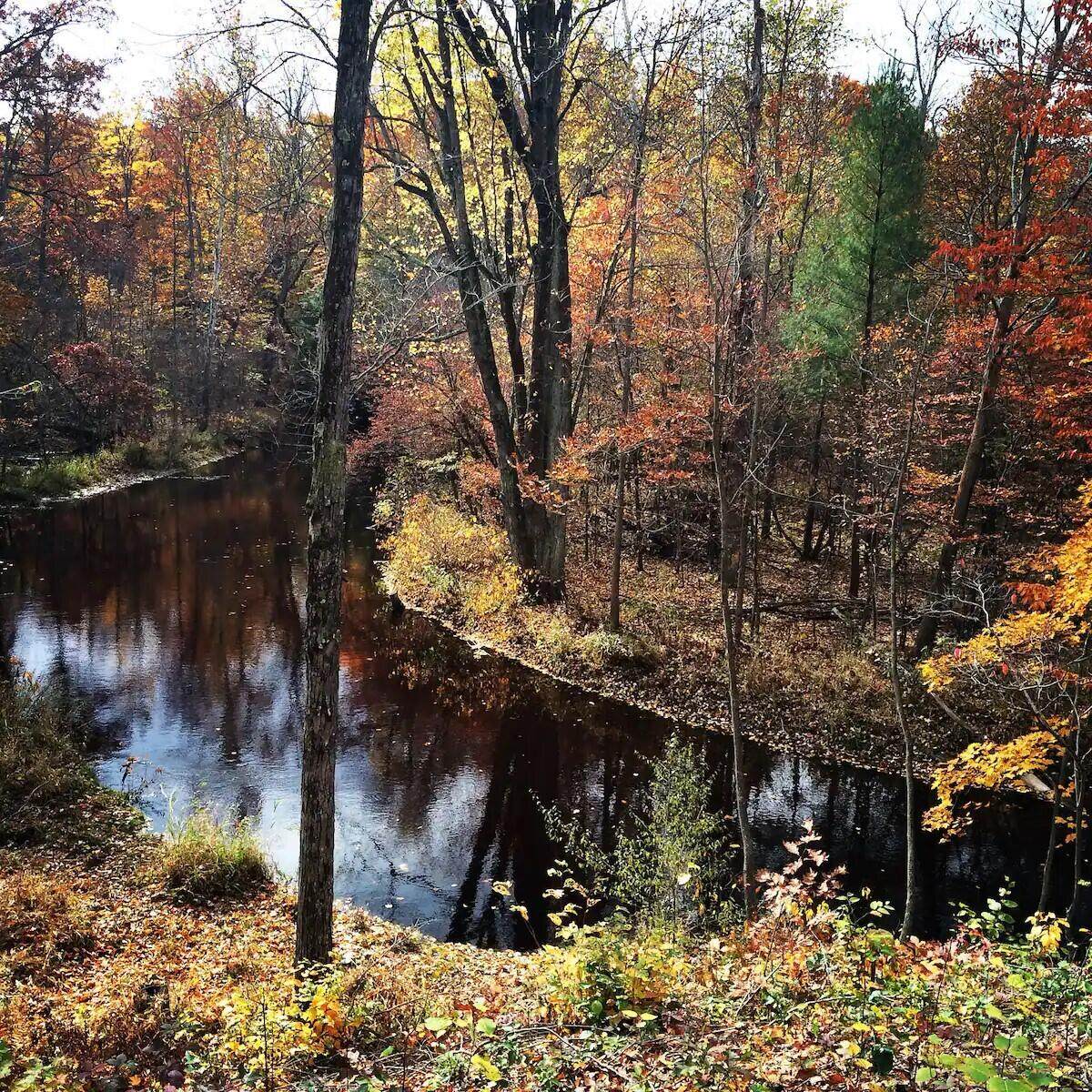  Vl 105th Ave - Photo 1