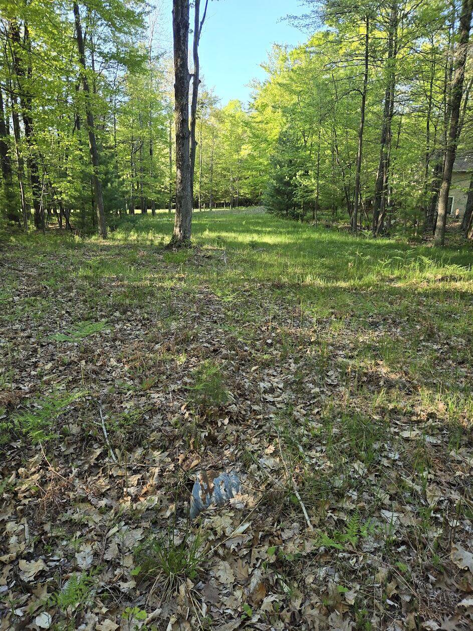 Lot 5 & 14 Ridge Road - Photo 1
