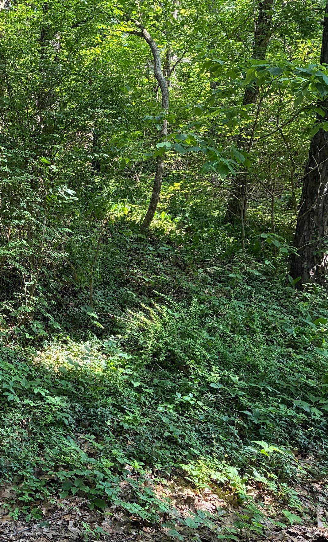 2 Lilac Lane - Photo 1
