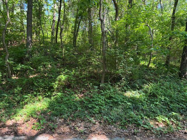 4 Lilac Lane - Photo 1