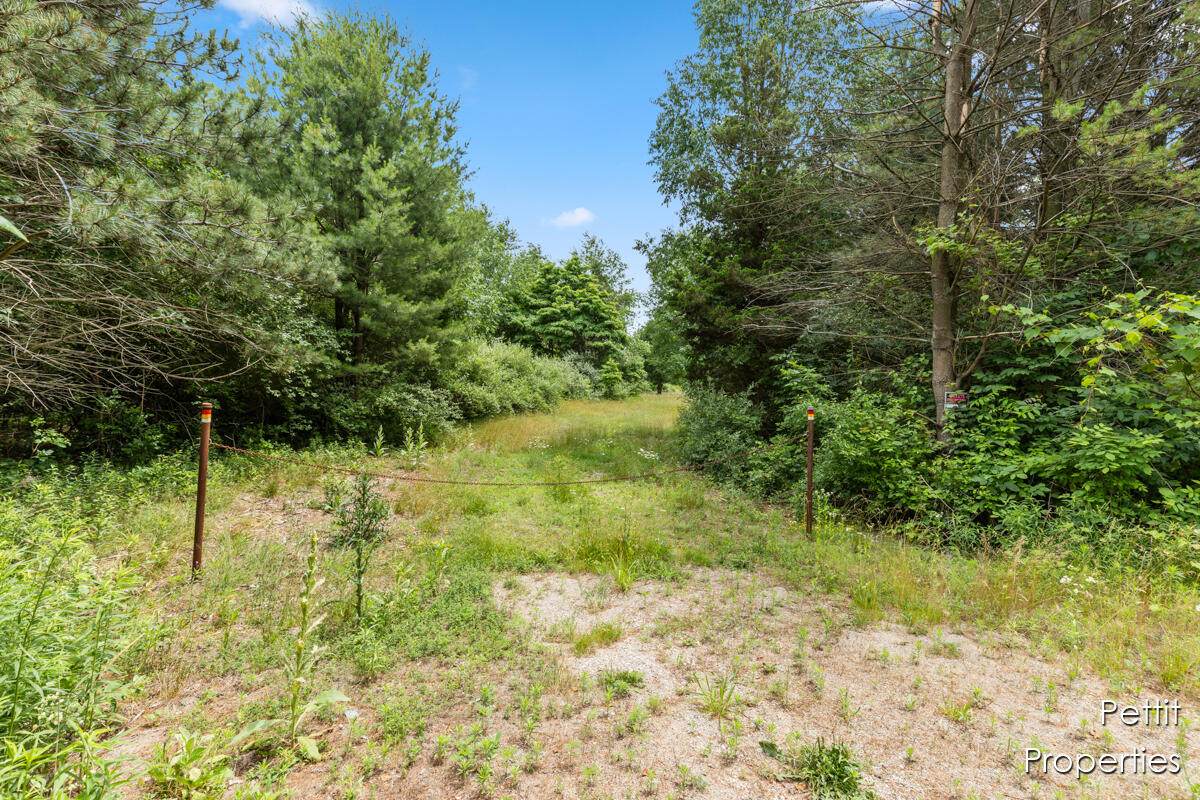 6804 Maple Island Road - Photo 1