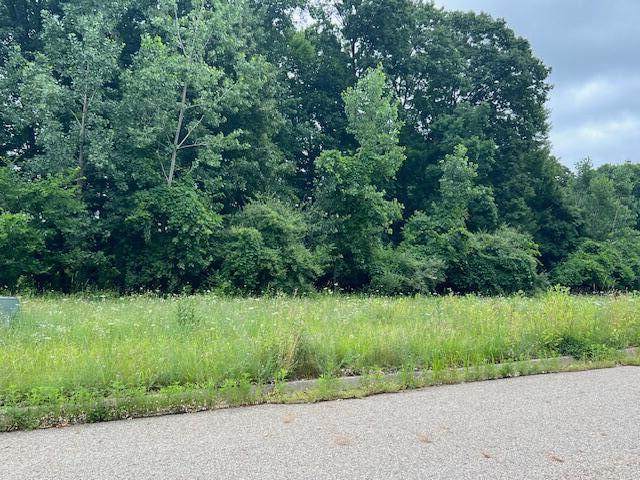 0000 Oak Ridge Hills - Photo 1