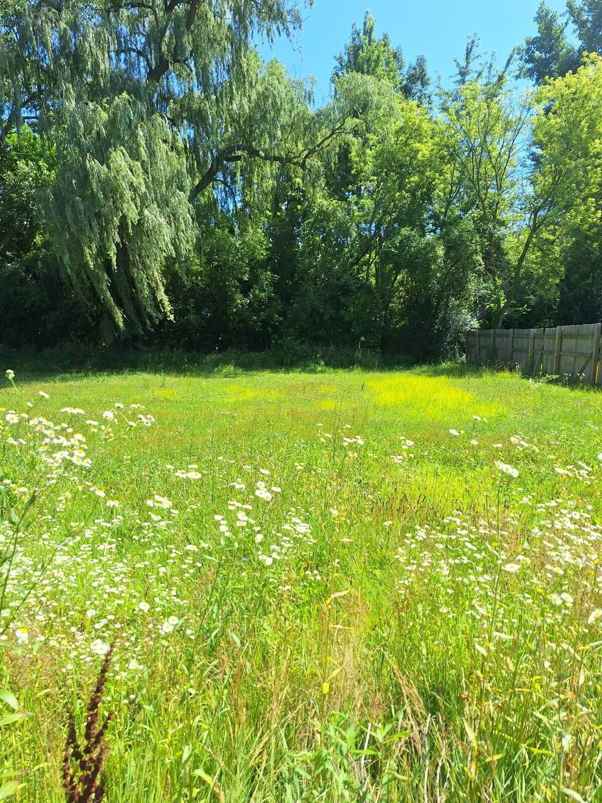 7101 Mccliggott Road - Photo 1