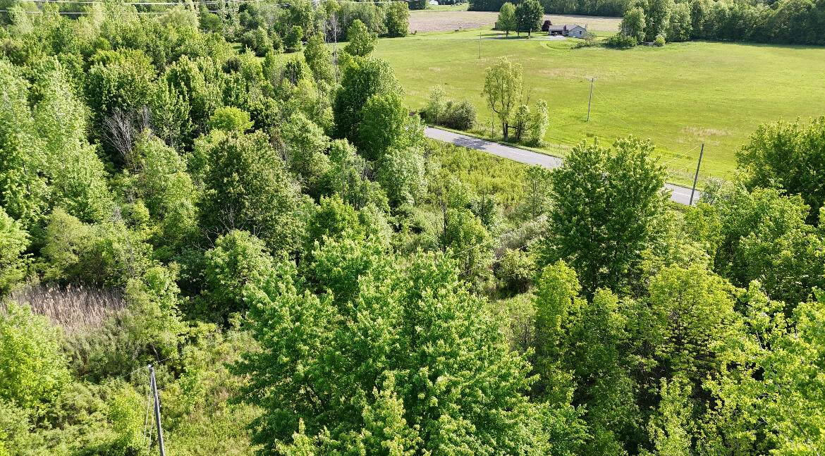 13027 Shaner Avenue - Photo 1