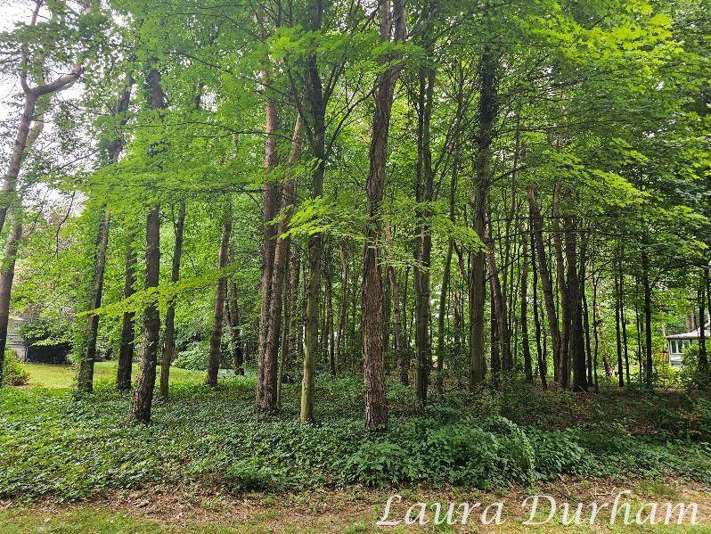 N of 3365 Clearview Lane - Photo 1