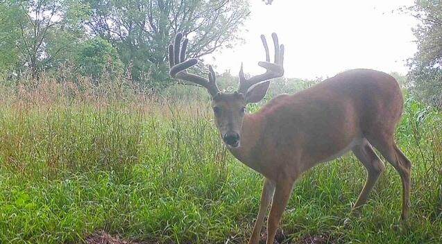 9500 Jones Road - Photo 1