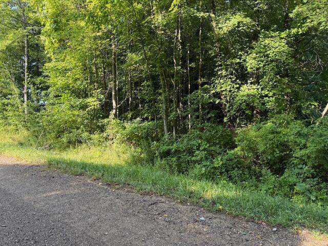 5815 Jefferson Street - Photo 1