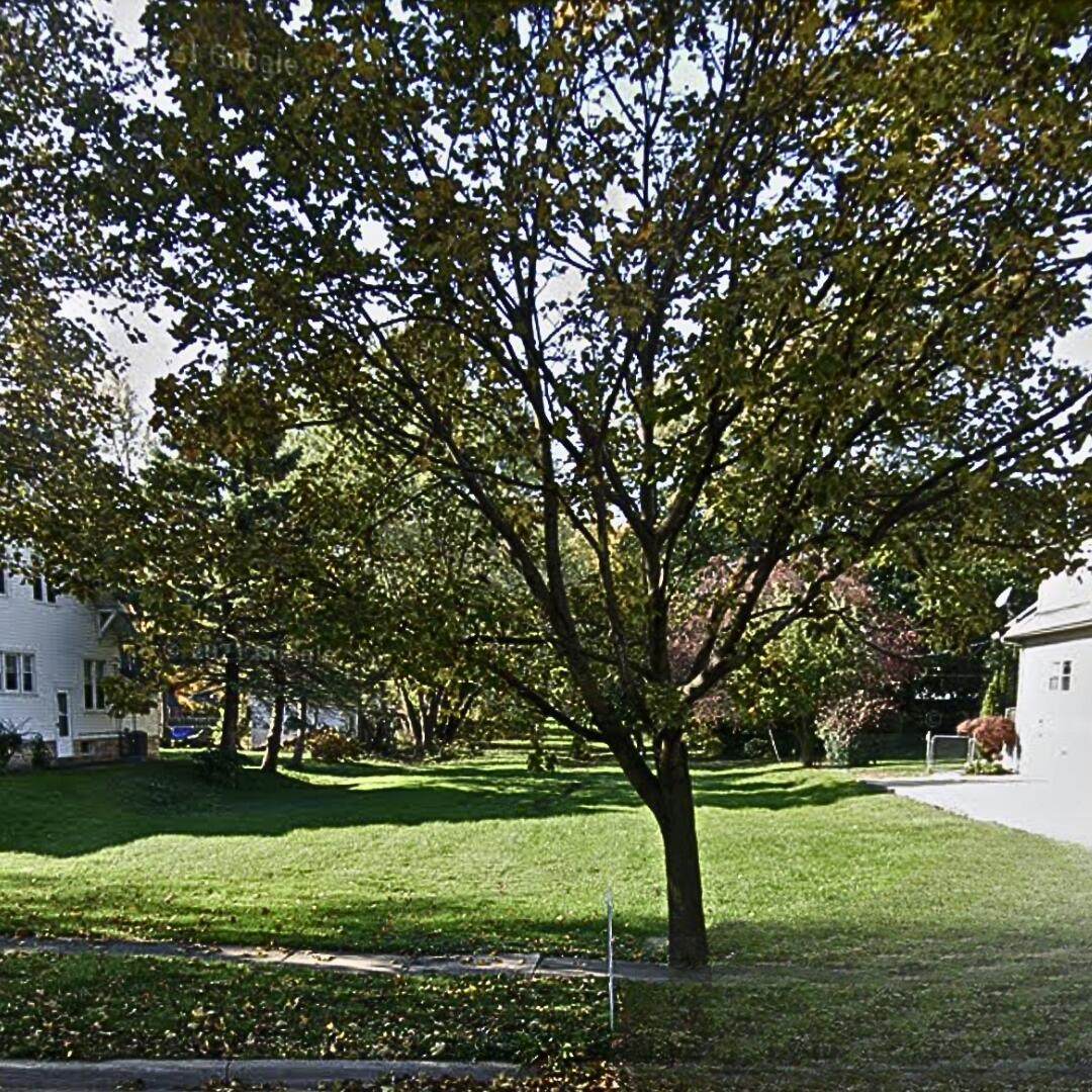 525 Macomb Street - Photo 1