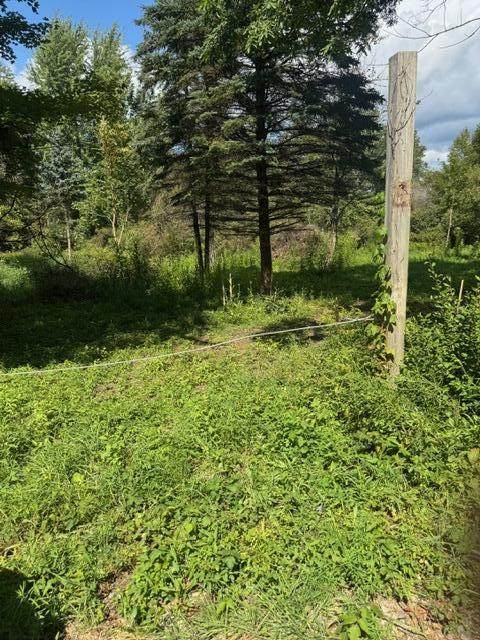 Parcel B Maple Grove - Photo 1