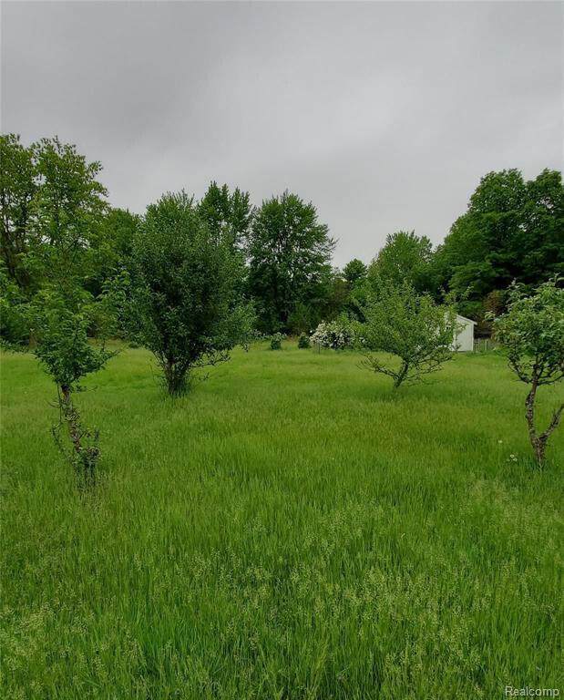 34620 California Street - Photo 1