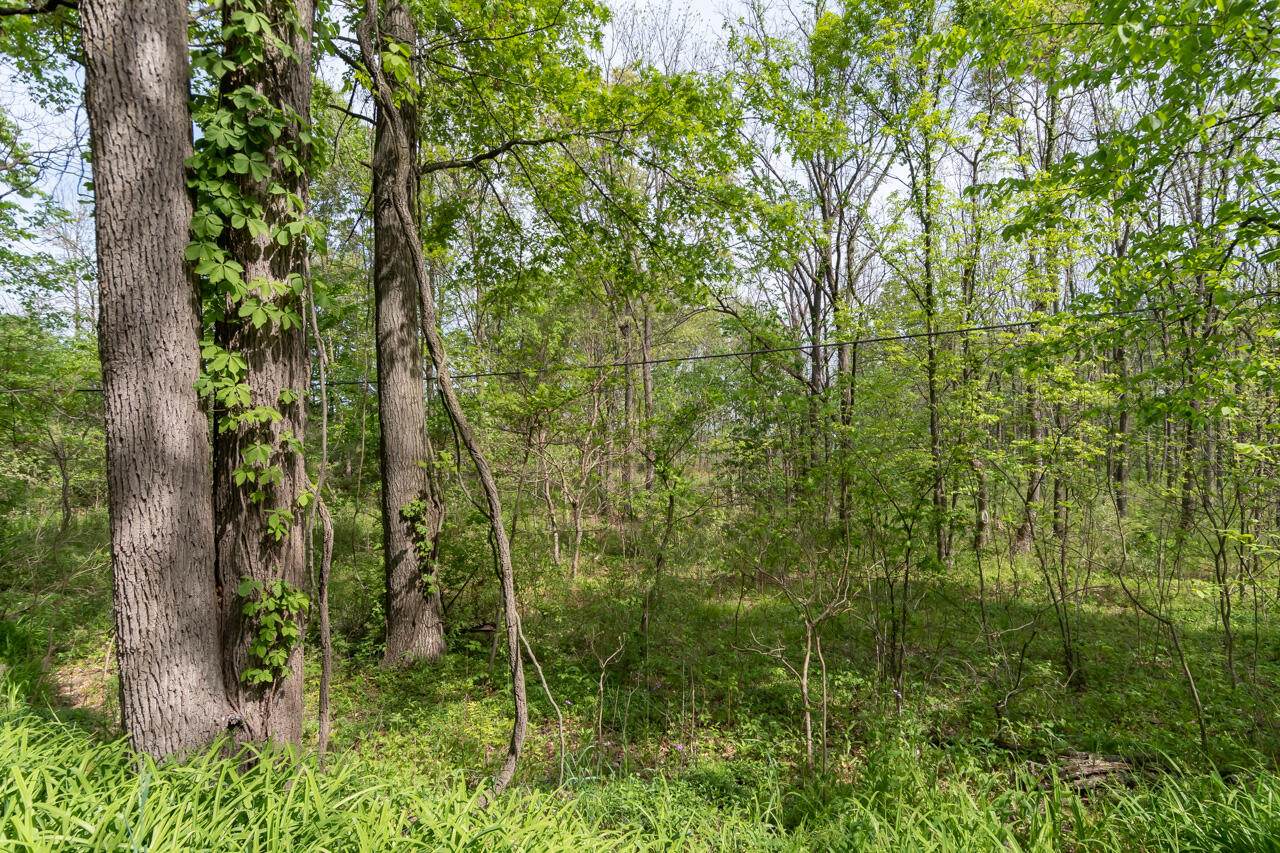 https://bt-photos.global.ssl.fastly.net/swmich/1280_boomver_1_25047288-2.jpg