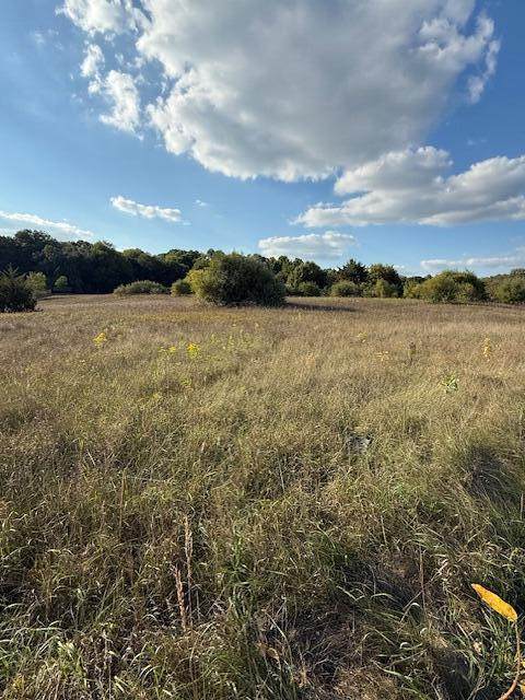 V/L Industrial Park Drive - Photo 1