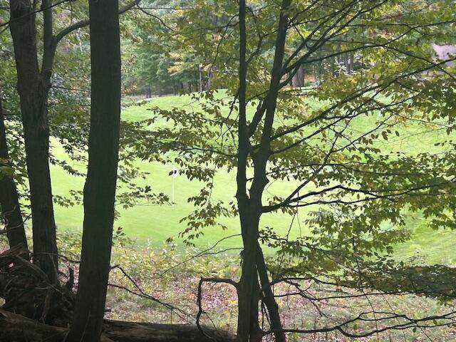 https://bt-photos.global.ssl.fastly.net/swmich/orig_boomver_1_25049066-2.jpg