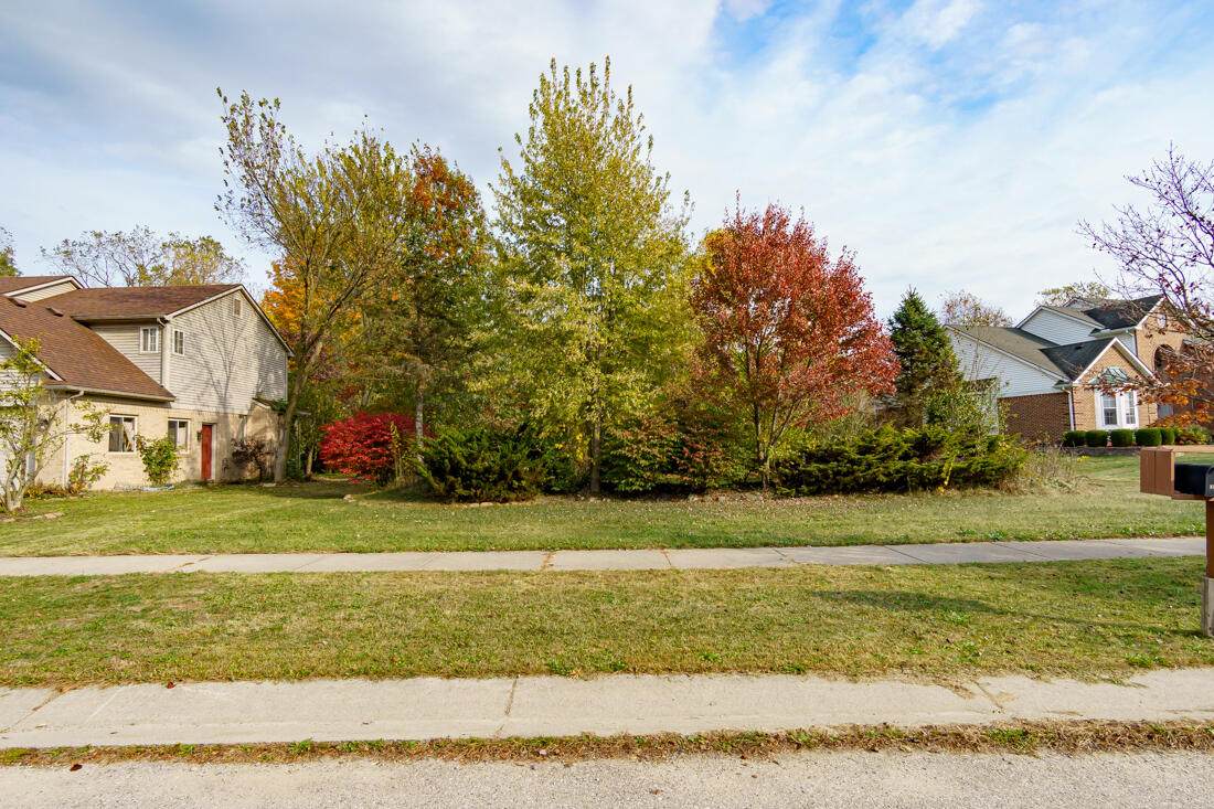 13921 Arlene Lane - Photo 1