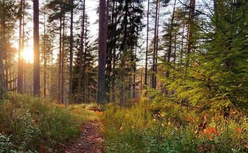 3711 Bradford Street - Photo 1