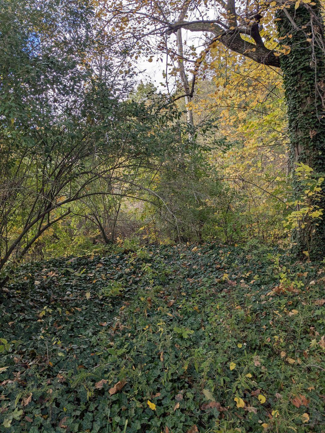 https://bt-photos.global.ssl.fastly.net/swmich/orig_boomver_1_25054936-2.jpg