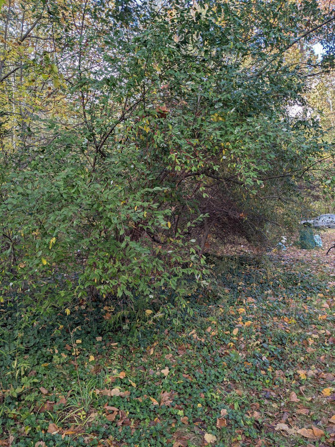 https://bt-photos.global.ssl.fastly.net/swmich/orig_boomver_1_25054936-2.jpg