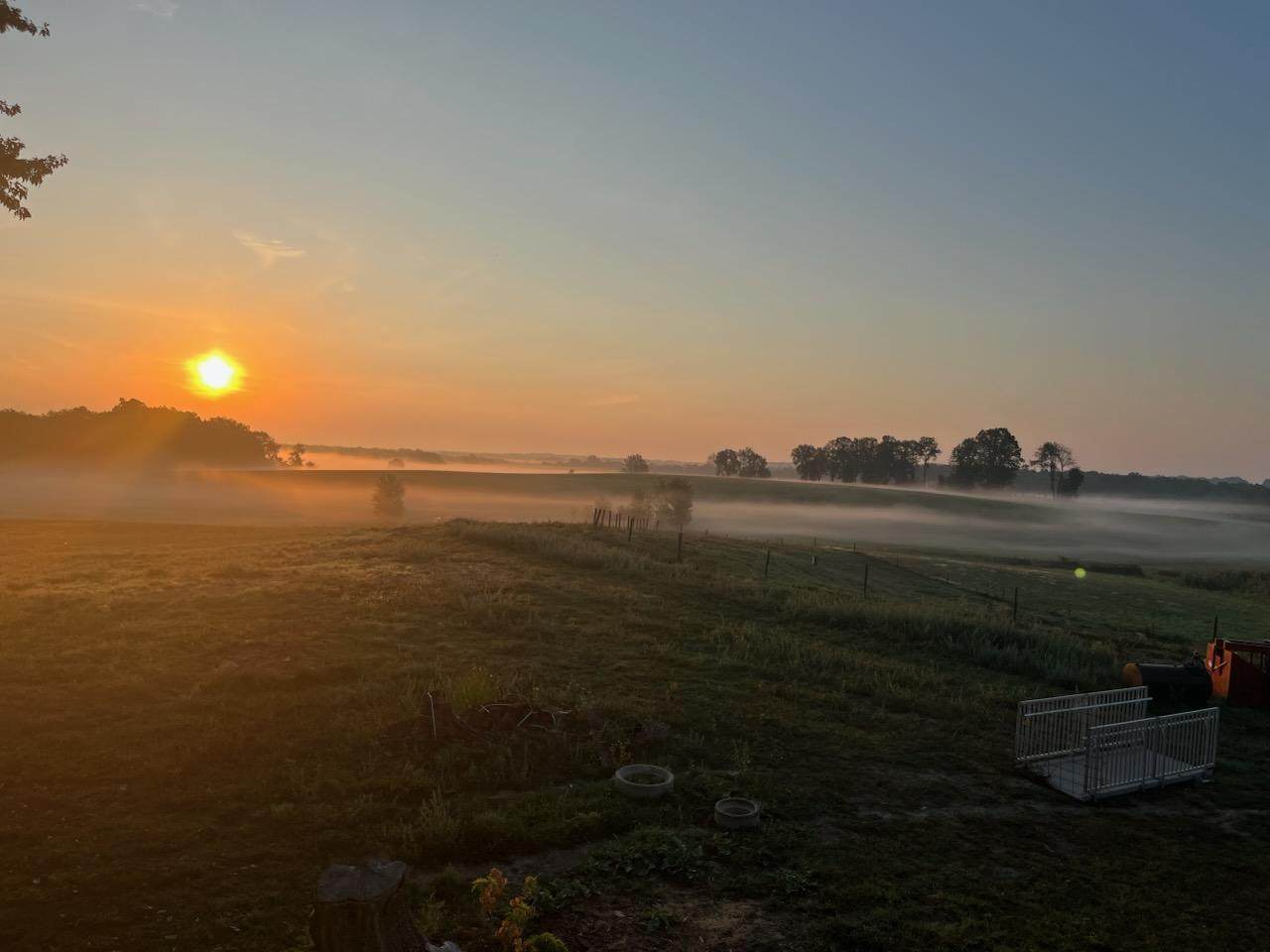  24th Street - Photo 1