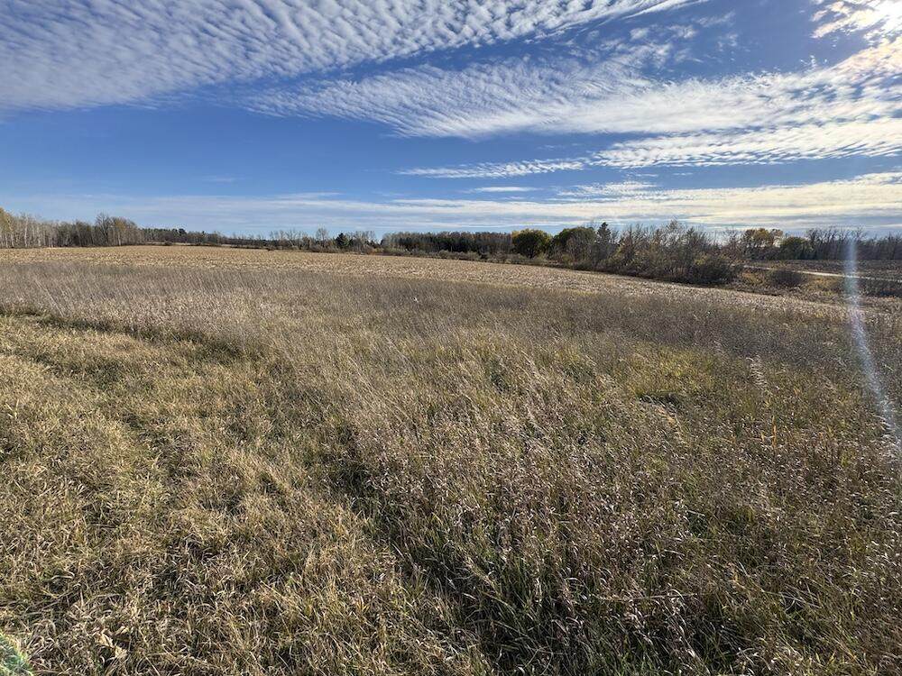 409 Morrison Road - Photo 1