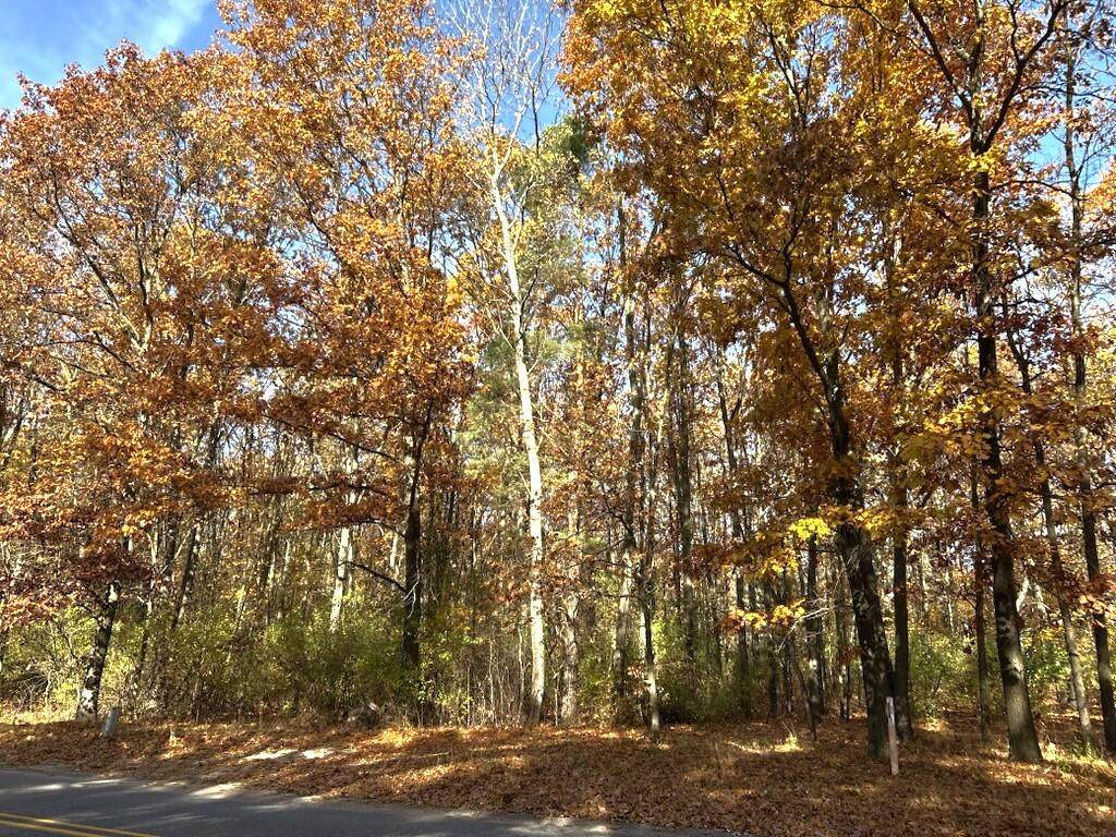 VL Burroughs Street - Photo 1