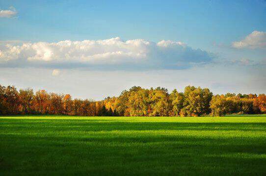 3220 Hideaway Drive - Photo 1