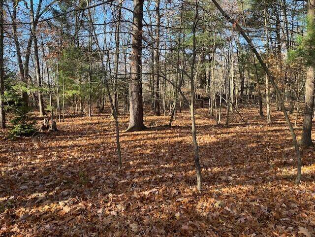 V/L Bedeau Street - Photo 1