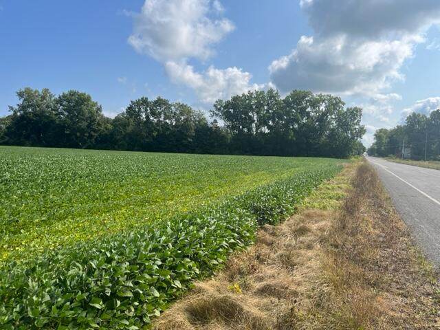  Wilson Road - Photo 1