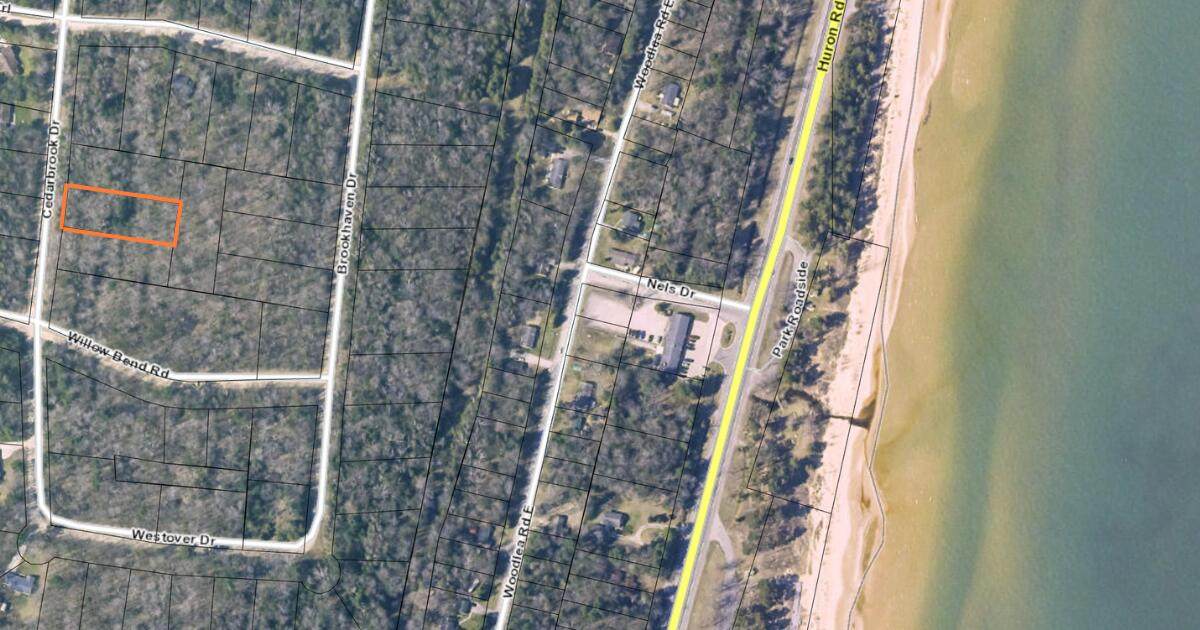 V/L Cedar Brook Drive - Photo 1