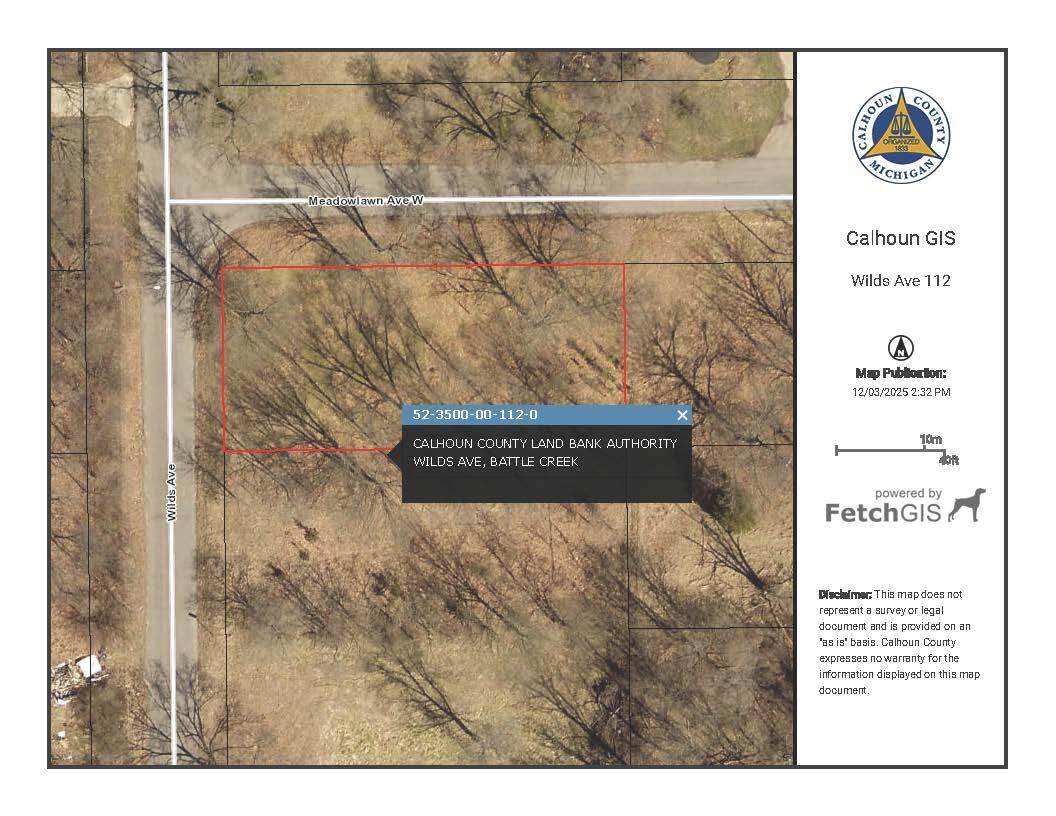 V/L Wilds Avenue - Photo 1