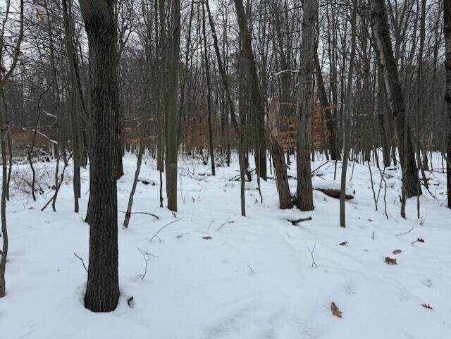 12066 Red Feather Lane - Photo 1