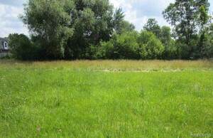 0 Detroit Street - Photo 1