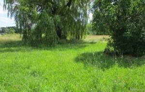 0 Detroit Street - Photo 1