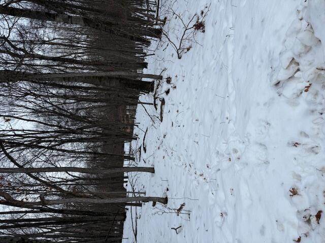 12090 Regina Drive - Photo 1