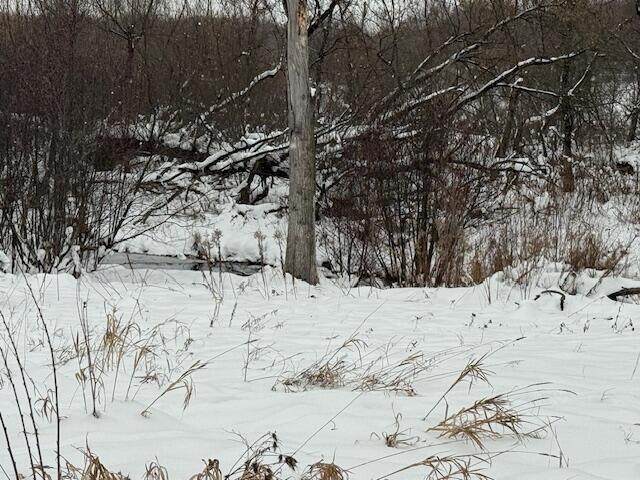  Apache Pass - Photo 1