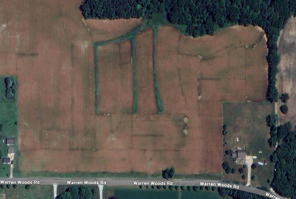  Warren Woods Road - Photo 1