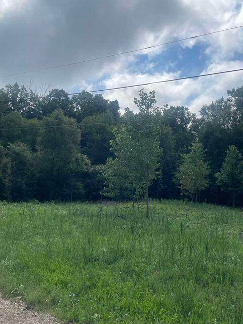 3080 Pershing Drive - Photo 1