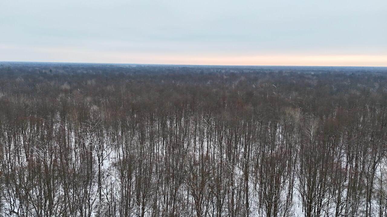  Magruder Road - Photo 1