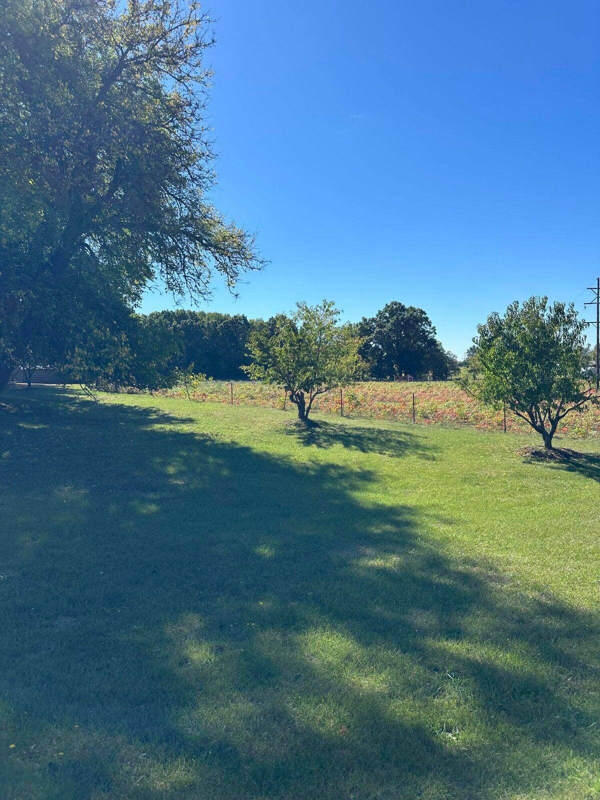 VL Pierce Road - Photo 1