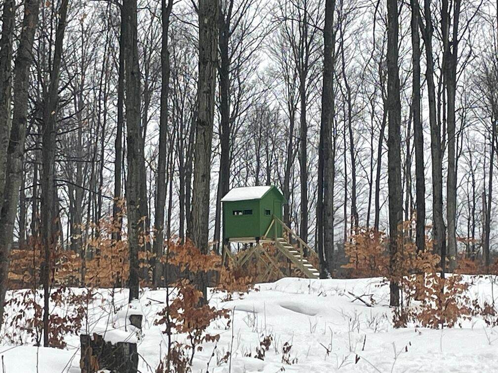 20350 Lindy Road - Photo 1